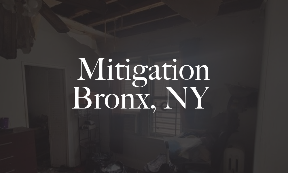 RBW Mitigation Bronx NY hover