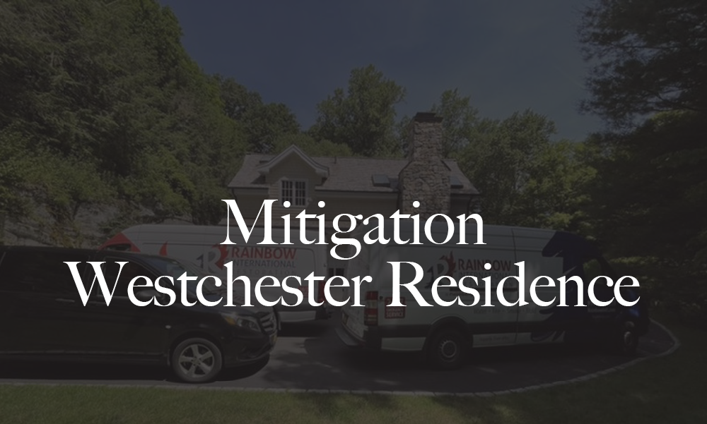 RBW rMitigation Westchester Residence overlay
